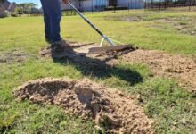 Lawn Leveling