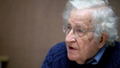 Noam Chomsky Net Worth