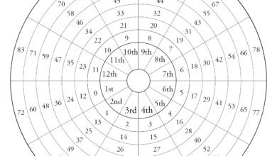 Your 8th House Profection Year: A Guide to Deep Transformation