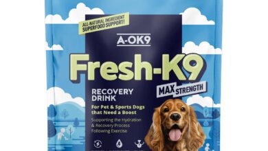 What is Aok Strength? Your Complete Guide to This Training Method
