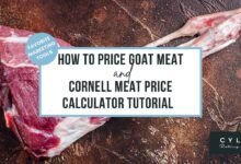 Goat Meat Prices: Market Trends and What Affects Cost