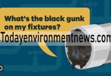 Is Black Sludge in Sink Dangerous? What You Need to Know
