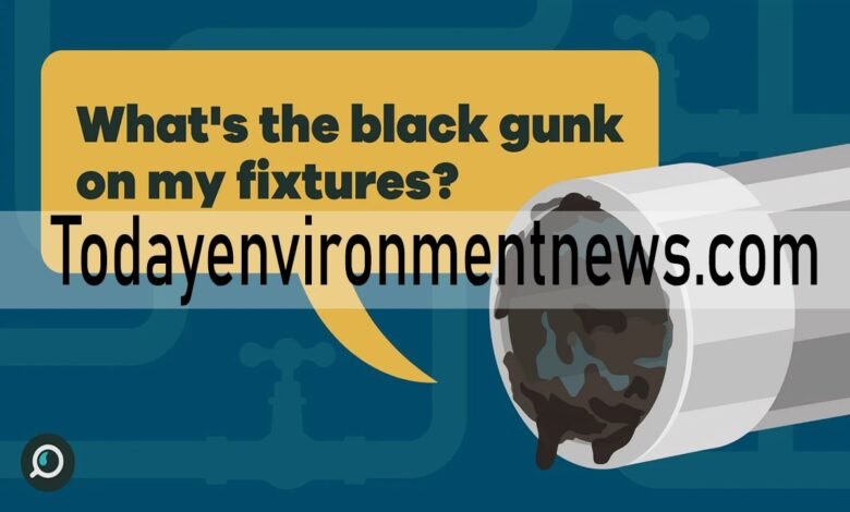 Is Black Sludge in Sink Dangerous? What You Need to Know