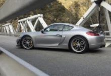 Modern Fuchs: Your Guide to Growing These Stunning Flowers