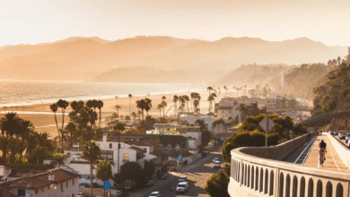 Nooraverse Santa Monica: A Friendly, Helpful Guide for Locals and Visitors