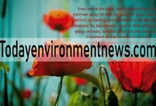 25 Beautiful Scriptures About Springtime and Spiritual Renewal