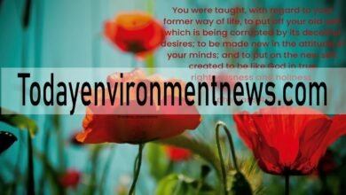 25 Beautiful Scriptures About Springtime and Spiritual Renewal