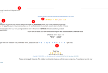 Beware of the Selvianeh Successful Transiction Email Scam: A Complete Guide