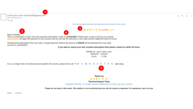 Beware of the Selvianeh Successful Transiction Email Scam: A Complete Guide