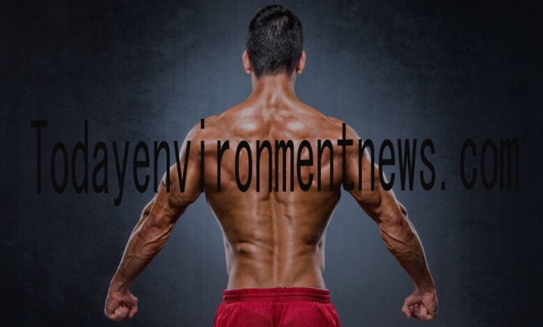 Build a Strong Backs: Your Complete Guide to Back Health