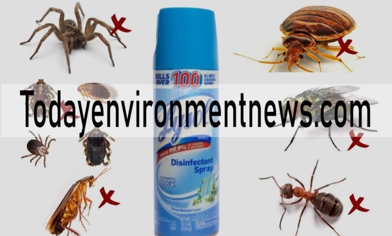 Will Lysol Kill Cockroaches? The Truth About DIY Pest Control