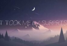 I Took It From Me: Meaning, Uses, and Creative Expression