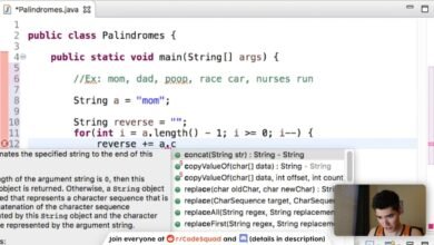 Palindrome Program in Java — A Clear Guide (with Examples)
