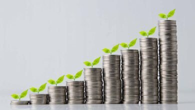 The Reliable Engine: Practical Sources of Steady Income for Everyday Financial Security